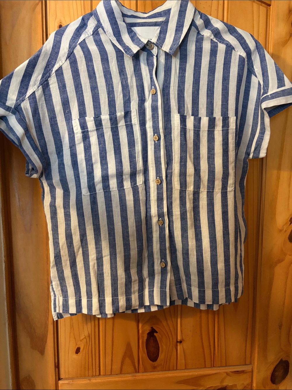 Blue and White Striped Button-Down Shirt